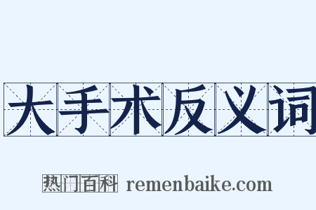 大手术反义词是什么意思的图片